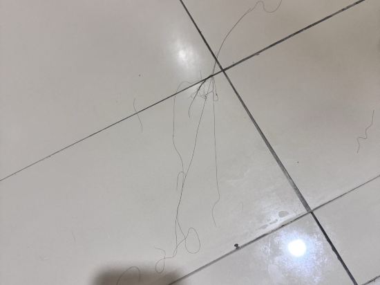 馬六甲中環酒店優惠