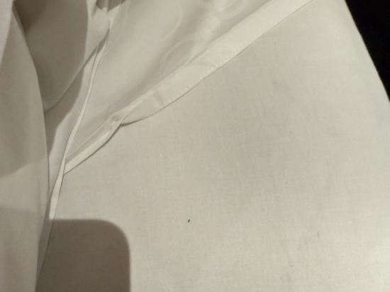 唐草精選飯店東京銀座優惠