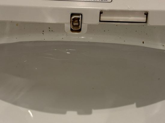 에덴 파라다이스 쿠폰