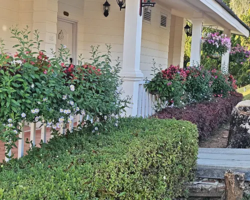 普凱度假村-冒險公園 公共區域 Photos