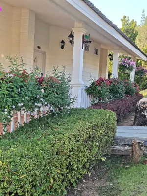 ภูแก้วรีสอร์ท พื้นที่ส่วนกลาง  Photos