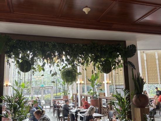 里奧那多海港大酒店優惠