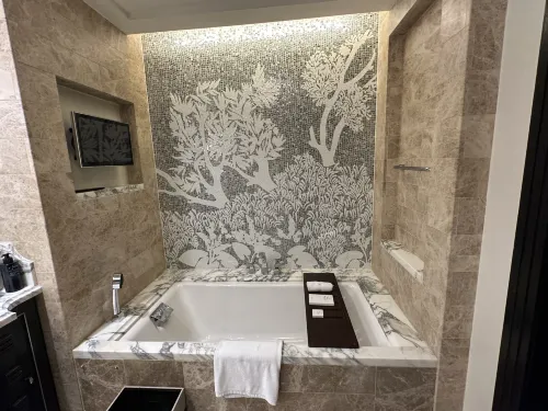 فندق سانت ريجيس القاهرة الغرف Photos