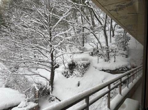 鳴子風雅 クーポン