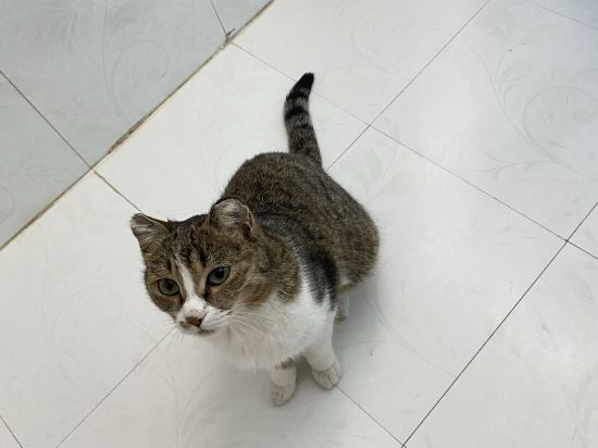 天緣太空艙飯店（烏魯木齊T2店）優惠