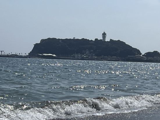 相鉄フレッサイン横浜戸塚 クーポン