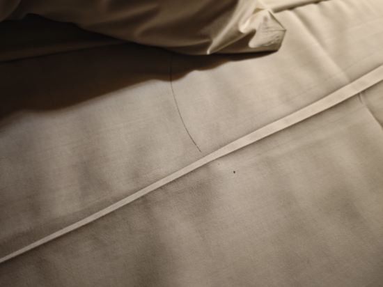 丁加奴蘇特拉海灘度假酒店優惠