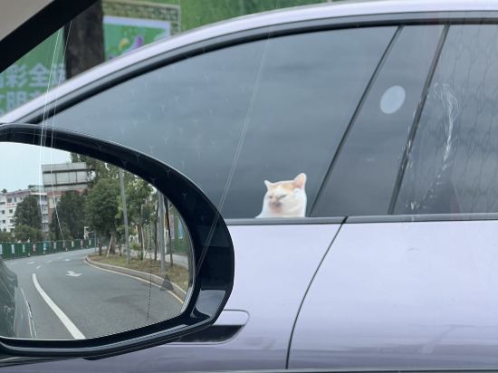 珠海橫琴希爾頓花園酒店優惠