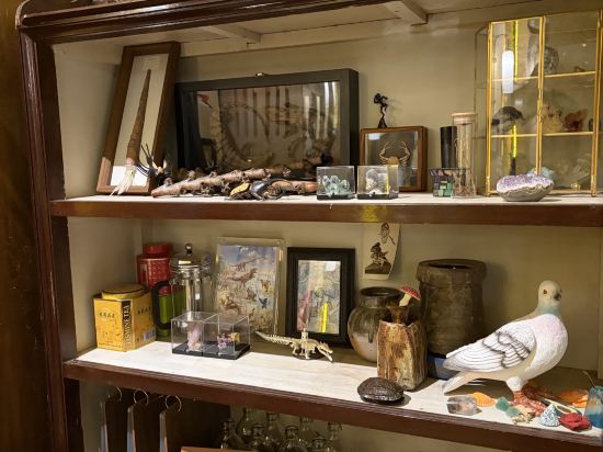 神祕圖鑒·SecretLand飯店（中山路步行街輪渡碼頭店）優惠