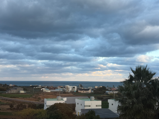 에코그린리조트 쿠폰