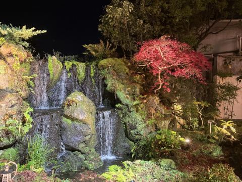 兵衛向陽閣 クーポン