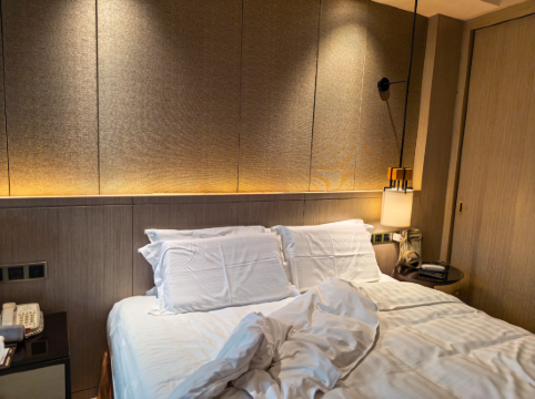 上海青松城大酒店優惠