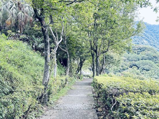 九份我們的家187民宿優惠