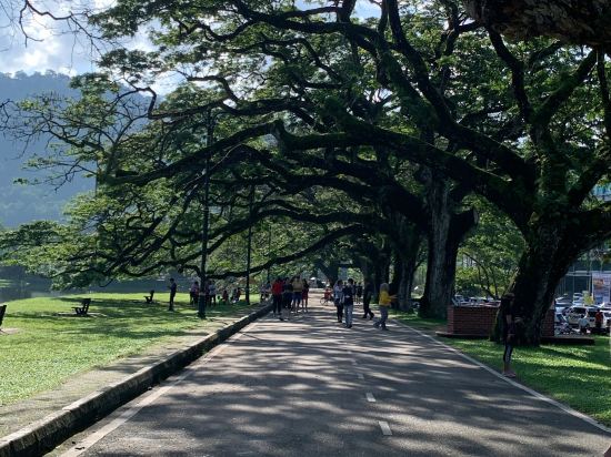 太平金輝酒店優惠