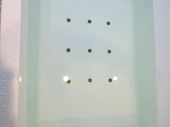 호텔 일루아 쿠폰