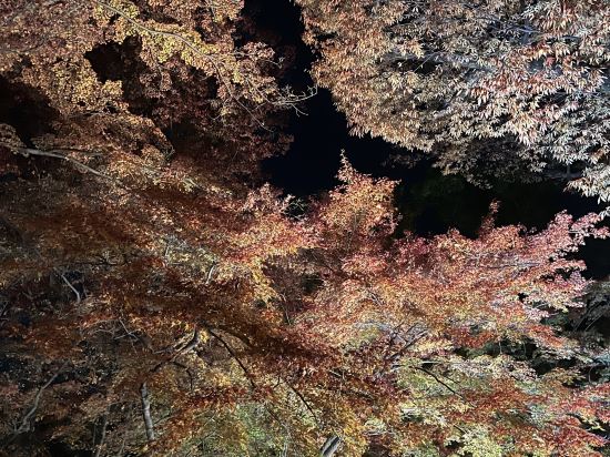 ホテルグレイスリー京都三条 クーポン