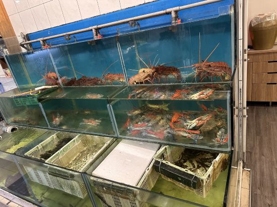 康橋商旅（高雄後驛九如館）優惠