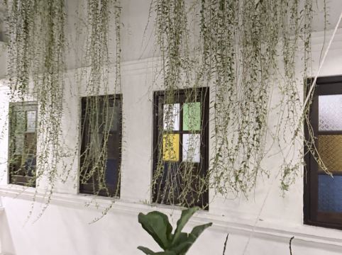 檳城檳榔酒店 （檳城對抗新冠肺炎認證）優惠