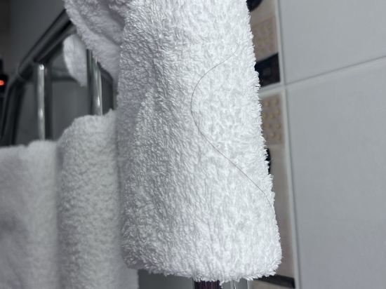 戴斯海德公園飯店優惠