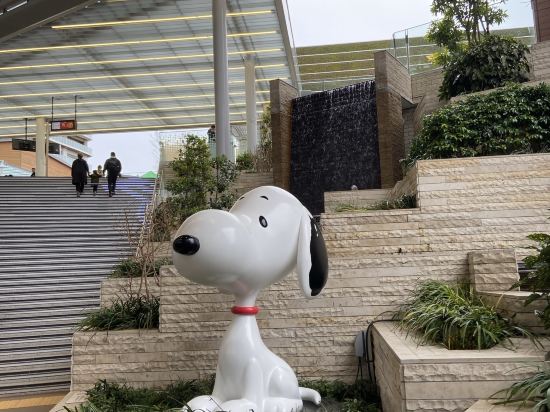 東急ステイ渋谷 新南口 クーポン
