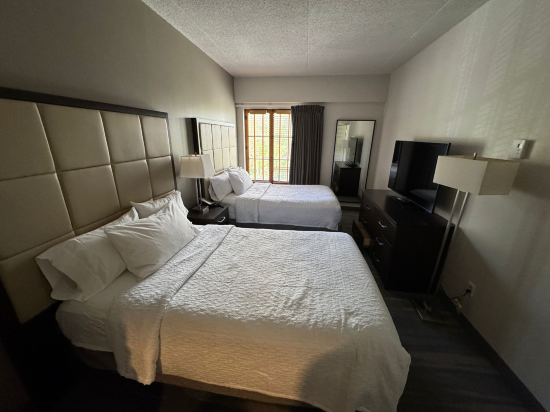 蒙特朗布朗度假勝地希爾頓欣庭套房酒店優惠