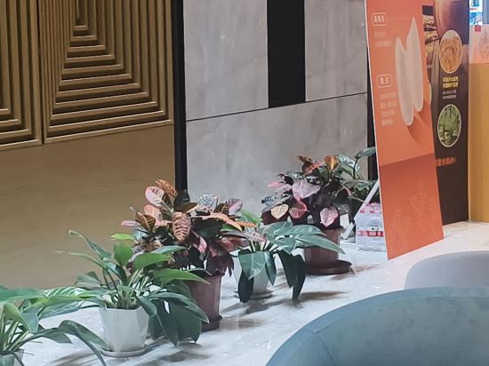 上海瑞廷西郊S飯店優惠