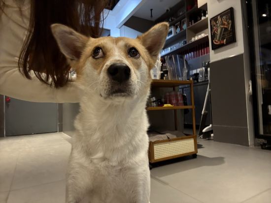 凱里亞德飯店（深圳灣口岸店）優惠