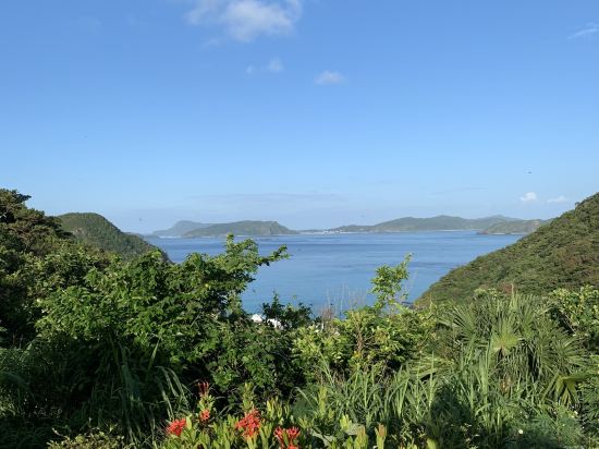 ゲストハウス ケラマ バックパッカーズ クーポン