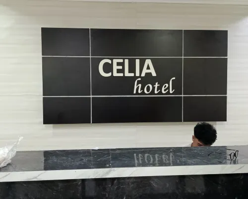Hotel Celia الأماكن العامة Photos