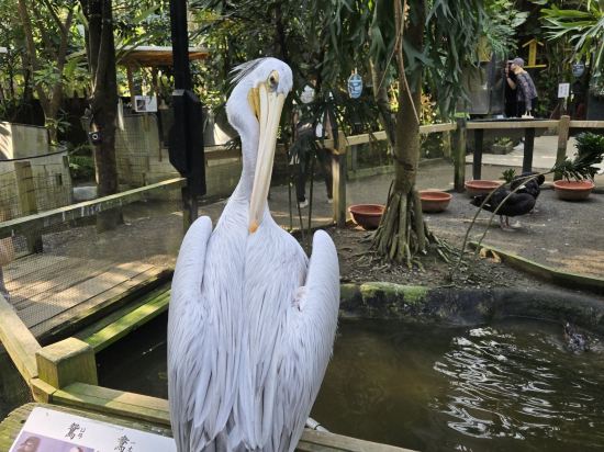 新竹國賓大飯店優惠