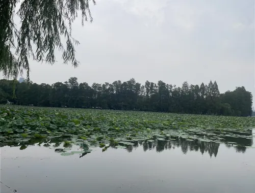 Lavande Hotel (Zhanjiang Guomao Guangbai) Рядом с отелем Photos