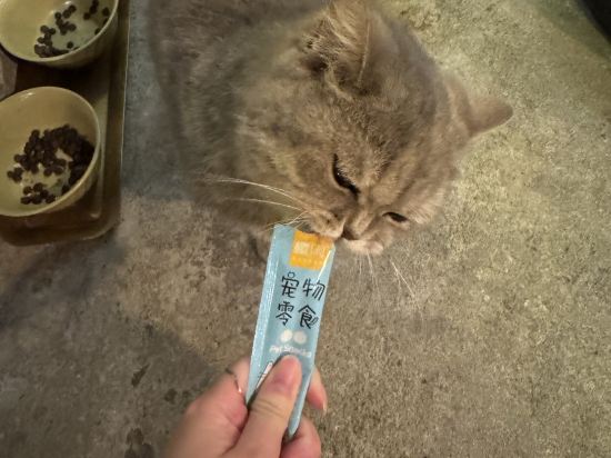 中山愛百得藝術酒店優惠