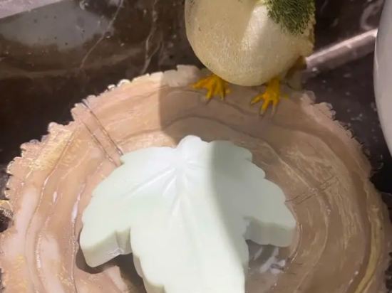 春天裡精品飯店（廣州燕塘地鐵站店）優惠
