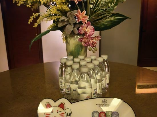 惠州康帝國際酒店優惠