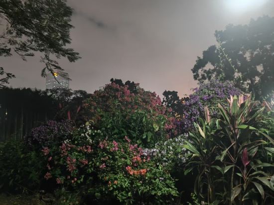 深圳温德姆至尊酒店優惠