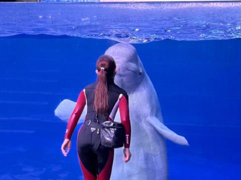 桔子水晶珠海拱北關口酒店優惠