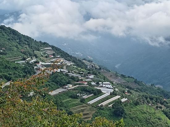 南投清境雲頂度假山莊優惠