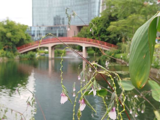 珠海度假村飯店主樓優惠
