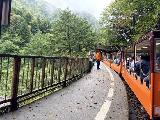 高山綠色飯店優惠