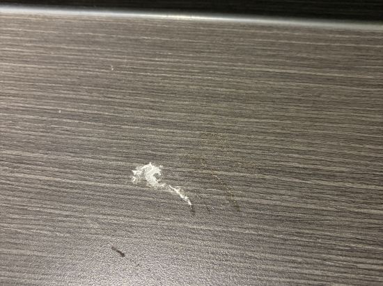 臺中伯達行旅優惠