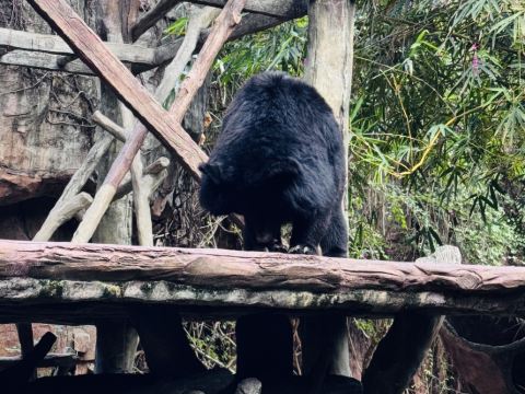 佛山順德長鹿度假村優惠