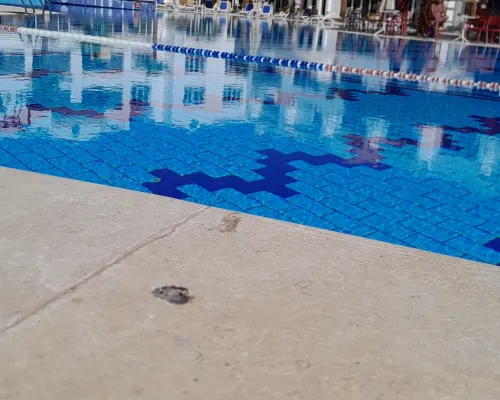 Old Vic Sharm Resort الترفيه والتسلية Photos