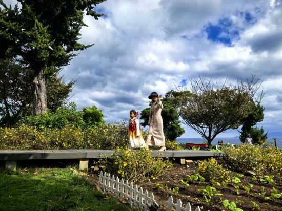 プチホテル　伊豆シャボテンヴィレッジ クーポン