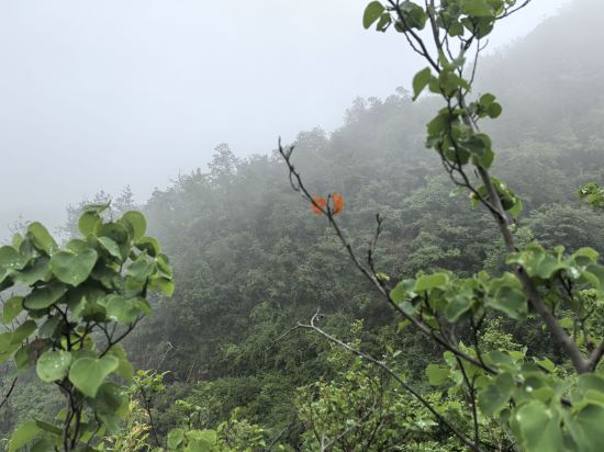 天台天餘名宿優惠