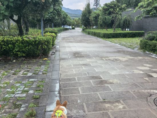 麗江雲澗度假酒店優惠