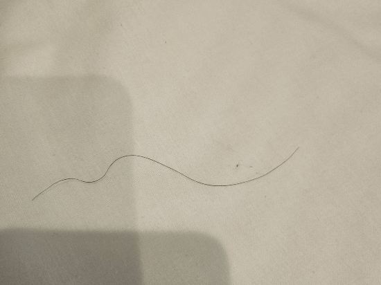 東京淺草霍普飯店優惠