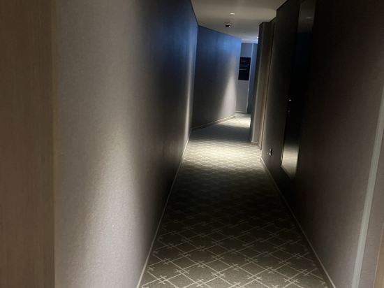 格拉斯麗首爾酒店優惠