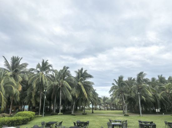 三亞海棠灣喜來登度假酒店優惠