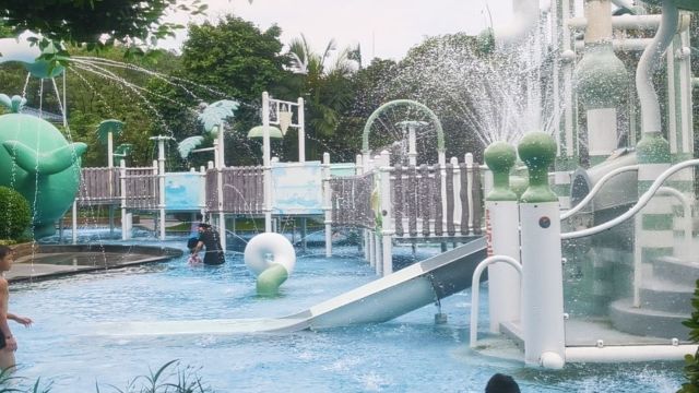 review picture