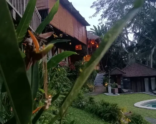 Prashanti Bali بالقرب من الفندق Photos